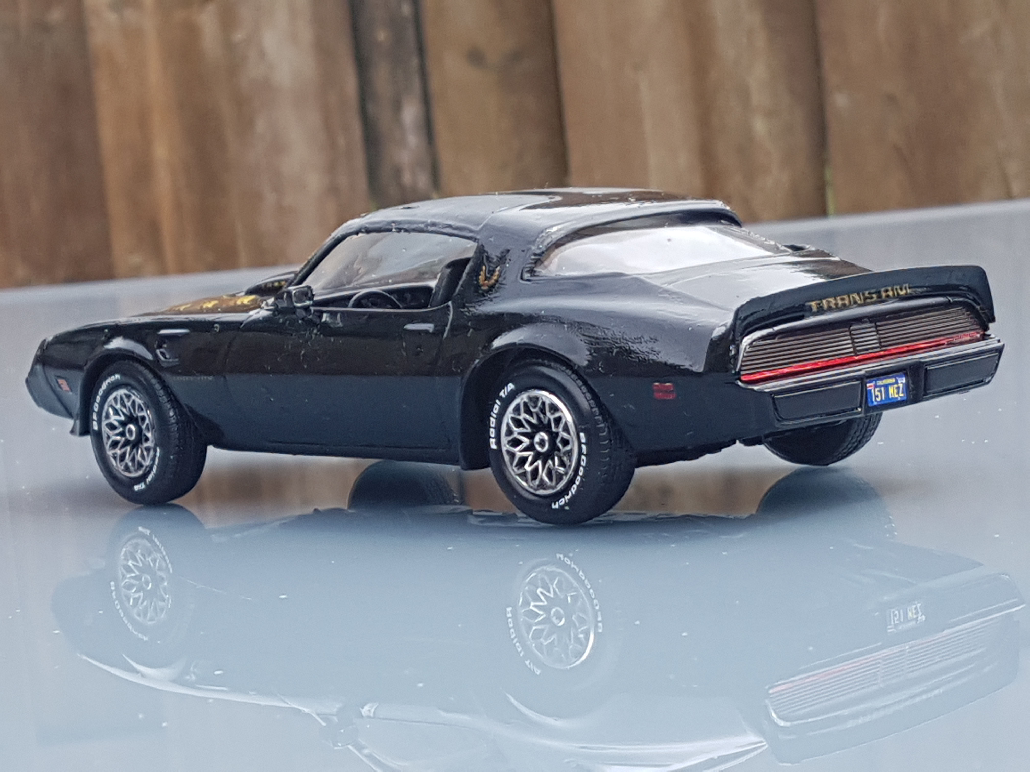 1980firebirdtransam (18)