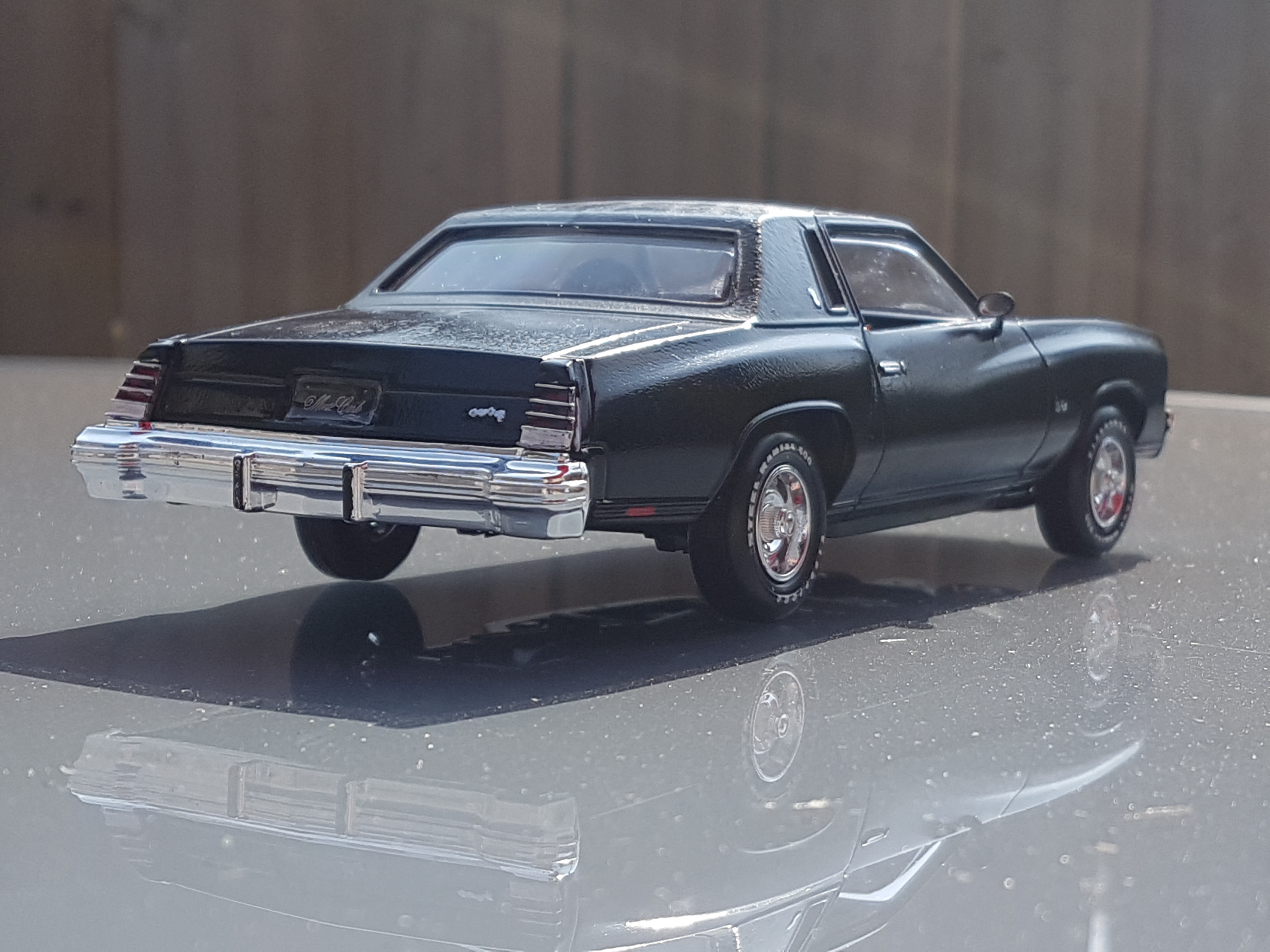 1977montecarlolandau (5)