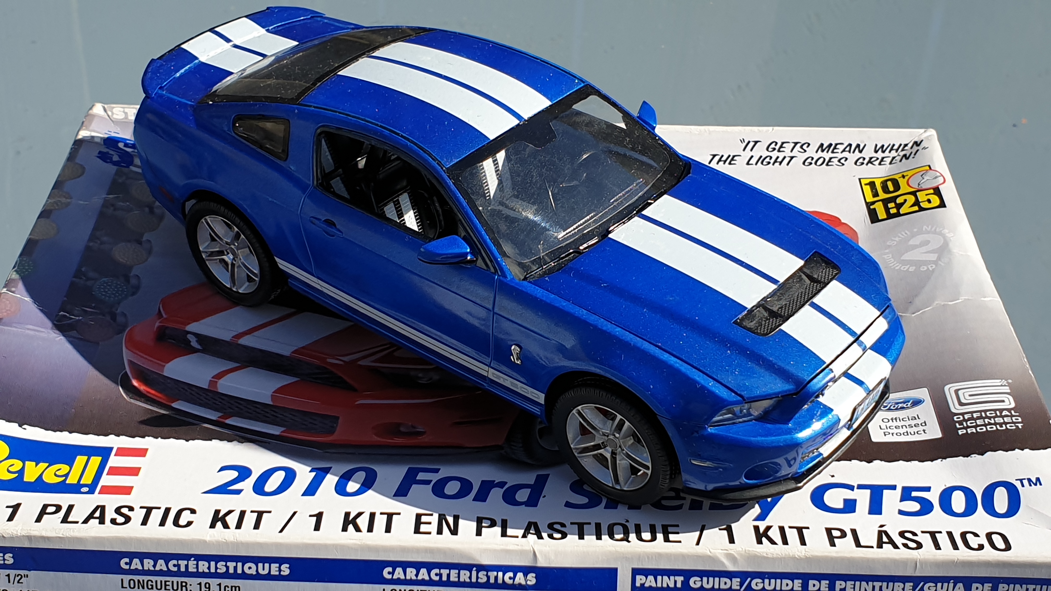 2010ShelbyMustang (2)